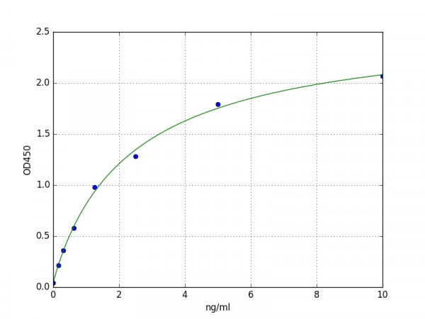 Human Protein Kinase C Beta 1 / PKC beta 1 ELISA Kit
