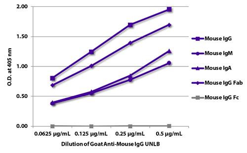 Anti-Mouse IgG (Fab) [Goat]