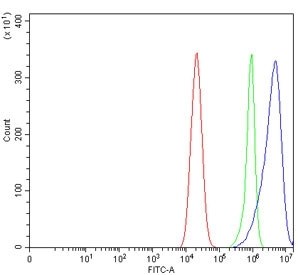 Anti-Gastrin