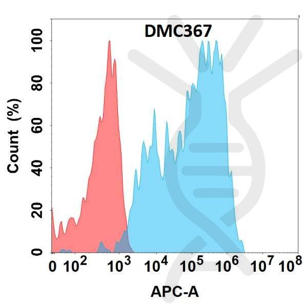 Anti-ICAM-1 antibody(DMC367), IgG1 Chimeric mAb