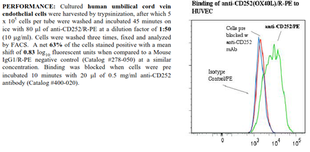 Anti-CD252 [OX40L] (human), clone ANC10G1, R-PE conjugated