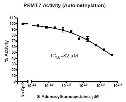 PRMT7 Homogeneous Assay Kit (Automethylation)