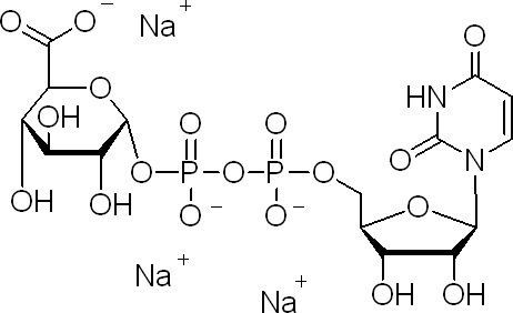 Uridine-5&#039;-diphosphoglucuronic Acid Trisodium Salt (UDP-GlcA, UDPGA)