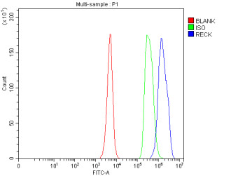 Anti-RECK / Reversion-inducing cysteine-rich protein with Kazal motifs