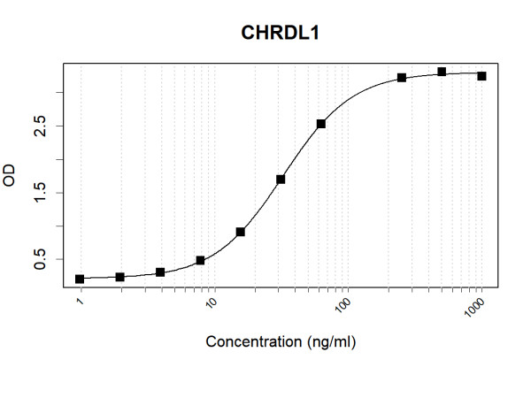 Anti-Human CHRDL1 Antibody Pair