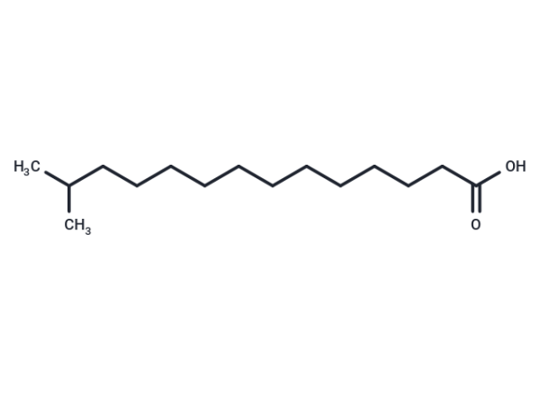 13-Methyltetradecanoic acid