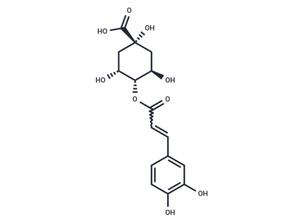 Cryptochlorogenic acid
