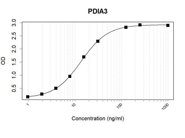 Anti-Human ERp57 Antibody Pair