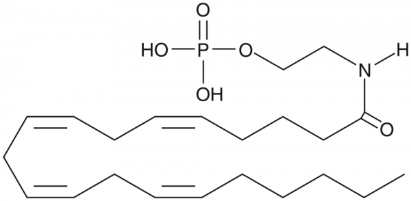 Arachidonoyl Ethanolamide Phosphate