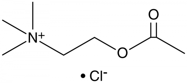 Acetylcholine (chloride)