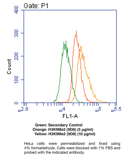 Anti-Histone H3K9Me2 (Clone 9D8)