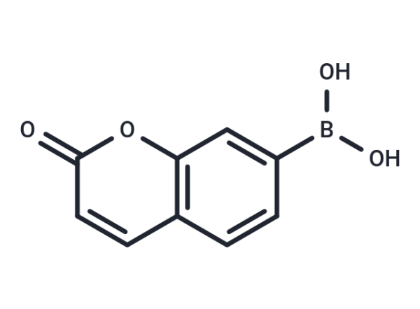 Coumarin Boronic Acid