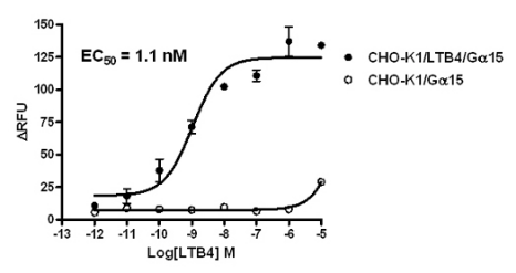 CHO-K1/LTB4/Galpha15 Stable Cell Line