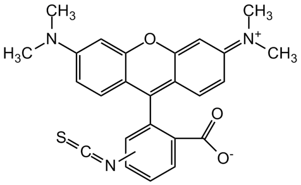 TRITC