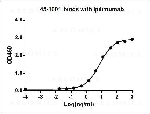 Anti-Mouse Monoclonal Antibody to Ipilimumab (Clone: 26B6H7D9)