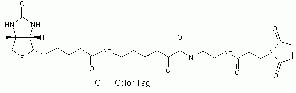 ReadiView Biotin(TM) maleimide