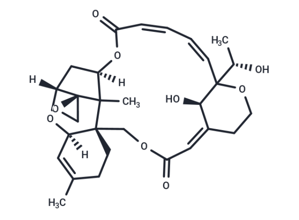 Satratoxin H