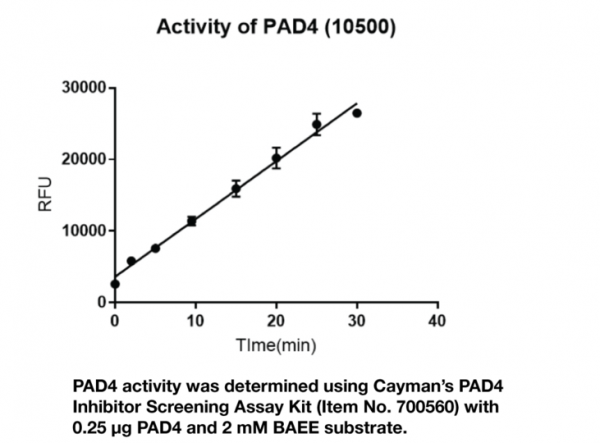 PAD4 (human, recombinant)