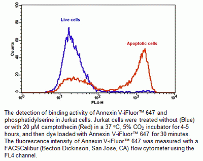 Annexin V-Cy5 conjugate