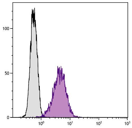 Anti-CD80 (Biotin), clone 1G10