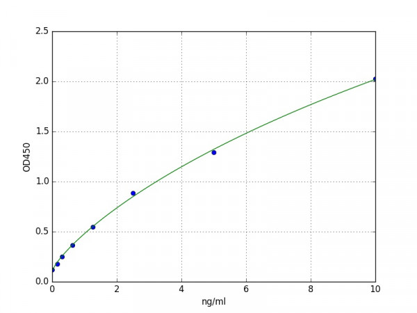 Human CK-17 / Cytokeratin 17 ELISA Kit