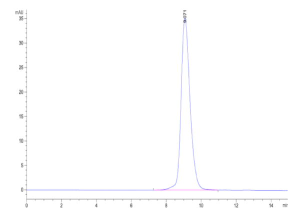 Biotinylated Human Activin RIIB/ACVR2B Protein