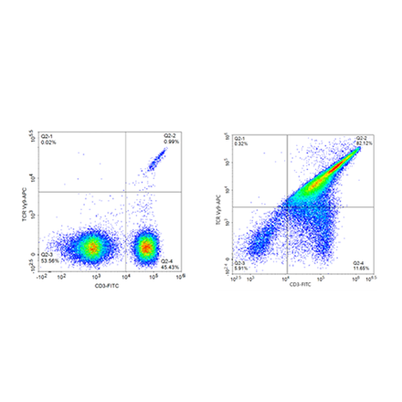 Expanded Human Peripheral Blood Gamma Delta T Cells (Vgamma9Vdelta2), Frozen