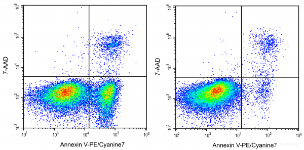 Annexin V-PE/Cyanine7 / 7-AAD Apoptosis Detection Kit