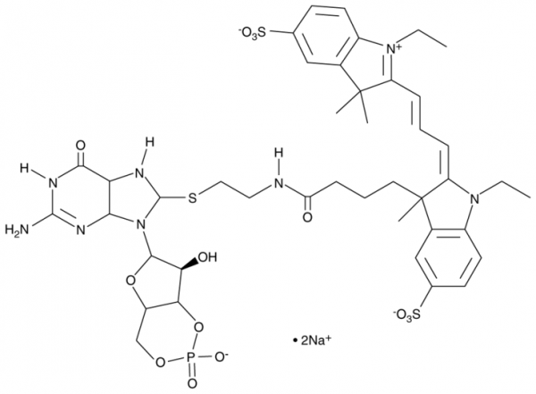 8-DY547-cGMP