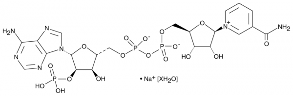 NADP+ (sodium salt hydrate)