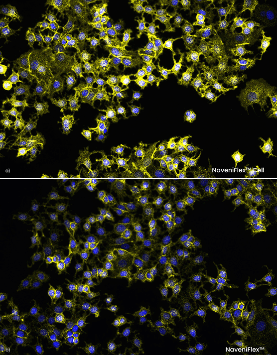 Comparison_NaveniFlexCell
