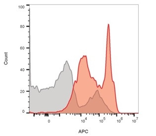 Anti-CD4 (T-Helper/Inducer Cell Marker), clone RIV7