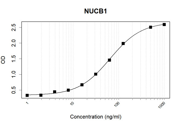 Anti-Human NUCB1 Antibody Pair