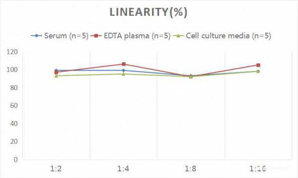Rat OC/BGP (Osteocalcin) CLIA Kit