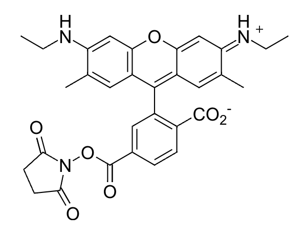 6-CR6G SE