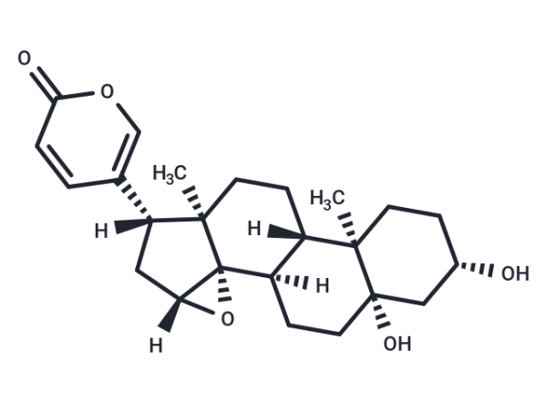 Marinobufogenin