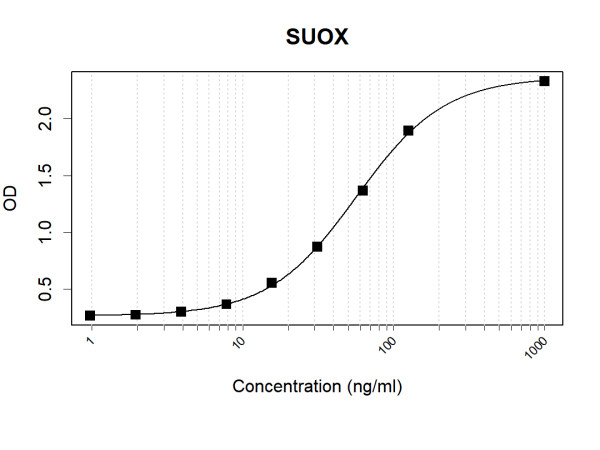 Anti-Human Sulfite oxidase Antibody Pair
