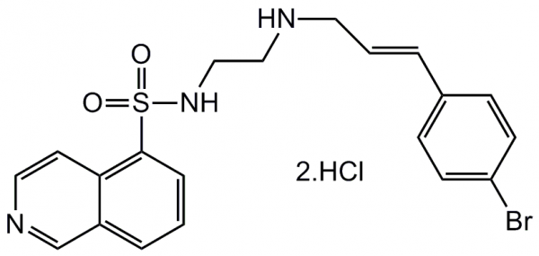 H-89 . dihydrochloride