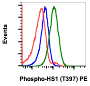 Anti-phospho-HS1 (Tyr397) (Clone: F12) rabbit mAb PE Conjugate