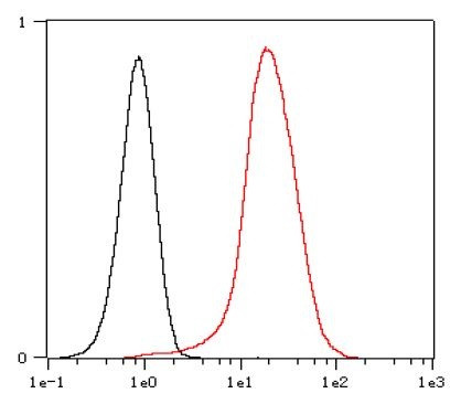 Anti-CD34, clone SQab1870