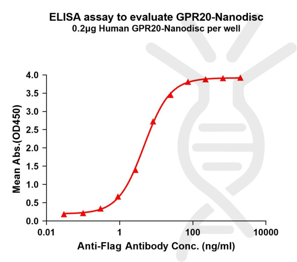 GPR20 (human) full length protein-synthetic nanodisc