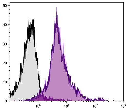 Anti-CD18 / LFA-1 beta (PE), clone C71/16