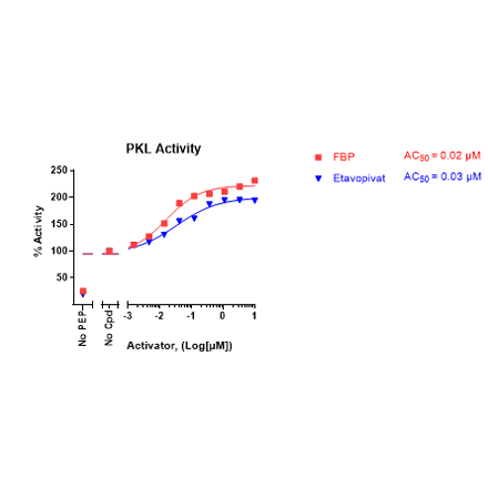 PKL Kinase Activation Assay Kit