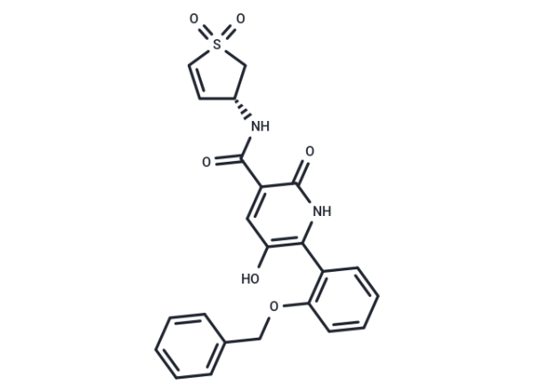 WRN inhibitor 5