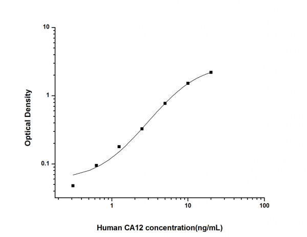 Human CA12 (Carbonic Anhydrase XII) ELISA Kit