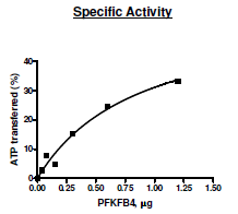 PFKFB4