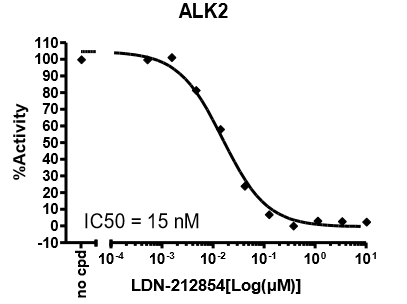 ALK2 (ACVR1) Kinase Assay Kit