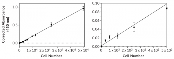 XTT Cell Proliferation Assay Kit