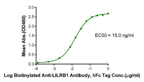 LILRB1/CD85j/ILT2 hFc Chimera, Human