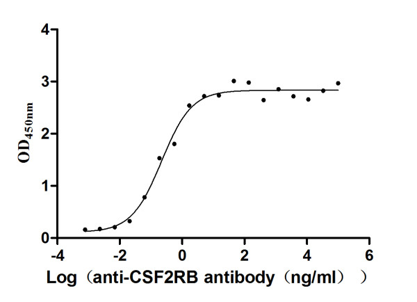 Anti-CSF2RB Recombinant Monoclonal, clone 7B6